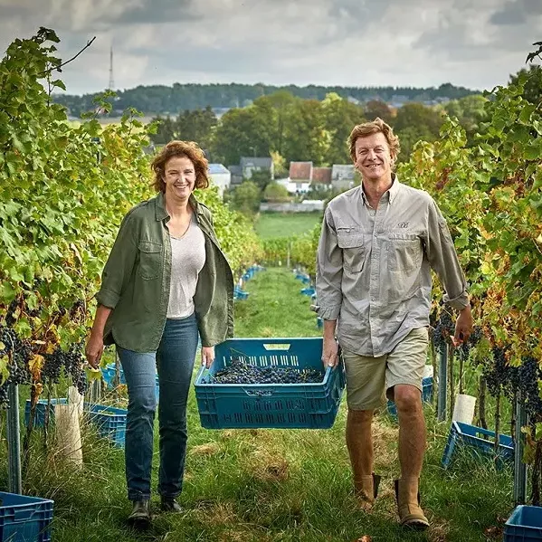 andy et vanessa vigne.jpeg